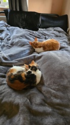 d075c4bb-059d-4291-b6fe-01fabc130c5e