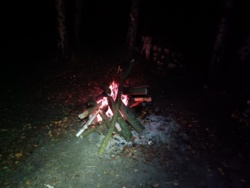 f0c1109e-f73f-4ecb-9ebc-bf960bfd8d83