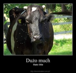 c018552d-6966-4fef-a462-5fe80260ed07