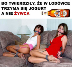 15cb64b2-6e95-49f8-95b5-adce93372980