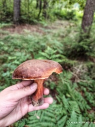 2443c6cb-67f1-40a8-99fe-e162e8571191