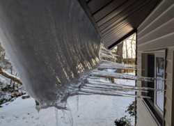 73d6c16e-731b-4d80-8861-68aeb2d7af5e