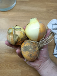 cc81549e-469f-45c6-aa14-165cfce3a07c