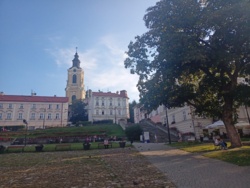 72cb76b3-1c38-4aaf-9b51-7bfc1865598c