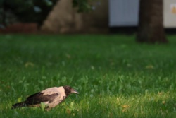 98235af5-7751-4b51-9f2f-8037e47da09c