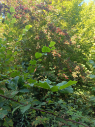 d2a19e01-d563-427b-b898-c818f777ebde