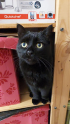 78f60bbd-a463-4c89-9216-e80cea800967