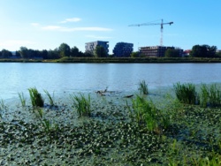 1cb1ab05-70db-4bc7-b350-929c6f41c4f7