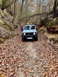 a309ccb8-8d8c-4ae2-94e1-cf2ebe0655d8