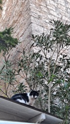 ab7769ab-4780-4c1e-9334-4e4517001b2e