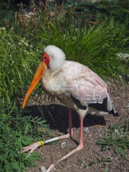 5c574015-6d8e-46b4-8542-d8db0987f3d4