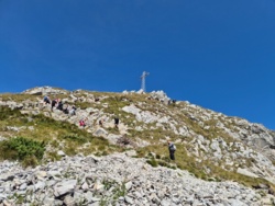 e3d1849d-82a7-4610-a51e-08c91bdd9a0d