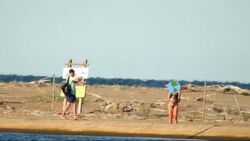 Turyści weszli do rezerwatu ptaków, robili sobie zdjęcia z młodym oharem. "Został znaleziony martwy"