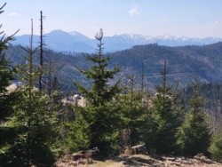 74a33e7b-8dc3-4354-9027-8596b9aea4ab