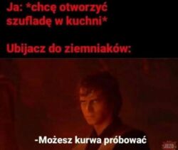 8e310a9a-f310-4603-8b03-286f8bd1cf4b