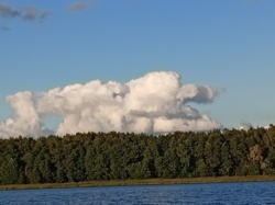 5b451a24-2899-49e0-8158-70142ddb67f3