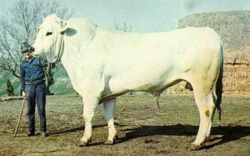 5f679363-88e3-4ff1-b791-b471083f6f45