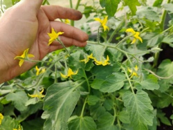 d86e0fc1-4c10-42f2-b52a-cd64857690b3