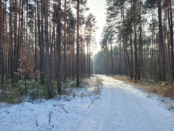 484d528d-f19b-4e48-9e93-7cd825cb8485