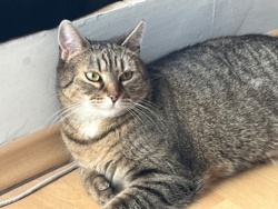 acccf4ff-0a64-4106-89ed-cfaa1213ce54