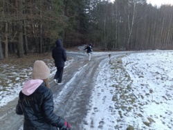 41fc19dd-4554-4641-8eee-84b40071f848