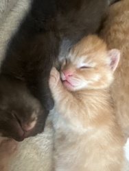 abdb051b-cefd-4d5c-93ed-3cec017ee1f4