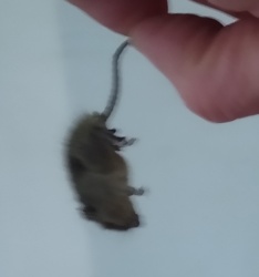 f4cdaf01-0314-47e6-b8f1-f18e2e9af913