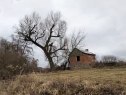 d4b02356-b766-4b8a-ba78-e138aeeda8de