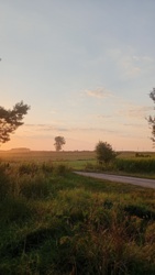 466a124c-049d-49b5-8893-25ba81314441