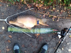 13bb9a89-20ba-494a-8f89-c3acee769c0a