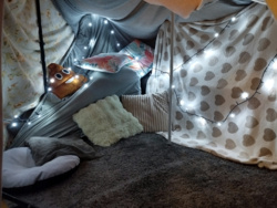 3a40f5e2-9de9-4aa6-8176-8cb10bce1b55