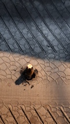 366aa8d8-5bc1-4eb2-8ef3-19ec57ec4a6a