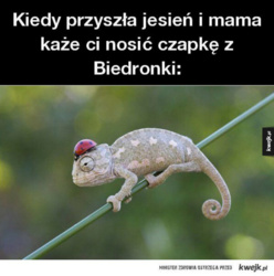 6743dfe1-465e-4452-99b9-159215a932c0