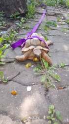 426dc72b-08fe-4e2f-81e9-2eb1b94f8425