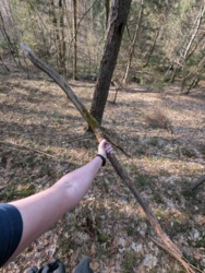 6e0bcb94-f522-4c85-9da3-b9c620d2c17e