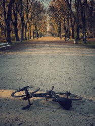 4cacf6d1-8c74-40dc-bda1-c54a70d368fa