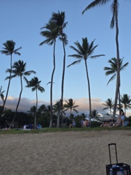 b2c98f77-6d85-4264-a1f8-b4b20319f8d5