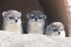 3c88d2a4-009a-4912-aefb-6abb9033bc4d