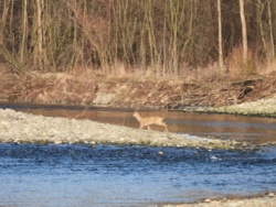 2d526dd4-40ce-4c9e-8c9d-3548e98a272b