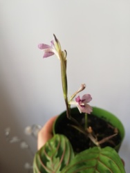 8f3534f5-cf71-4fdf-a3a0-c2d1e181869c