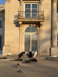 3201d98b-6ac2-41ec-9289-154565b3d08b