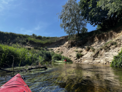 7d9f624d-d29d-4496-a128-e55f275f004c