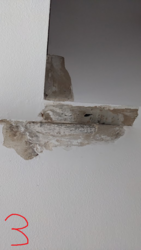 8233971d-335f-4fb6-b4fa-98b0c4b8417b