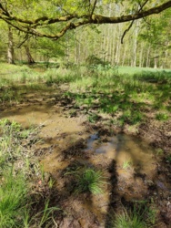8c5f2890-80a6-4d09-97b5-a59f523aba6a