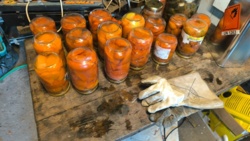 d0424745-7368-4916-8141-1c1789bb2273