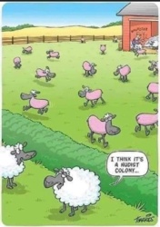 9c1a37c5-f9b8-4fa9-a1e0-4b713cbd18d8