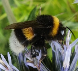 55c531fa-9ead-40b0-b29e-b59424452cb3