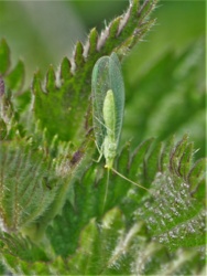 3709f2f3-c59f-4358-88e3-346d0859760f