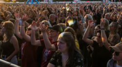 Chcesz kupić bilet na koncert? CERT ostrzega: uważaj na oszustów w sieci