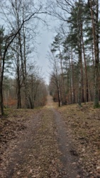 e0fbe347-a700-434f-9156-5bca0e483873